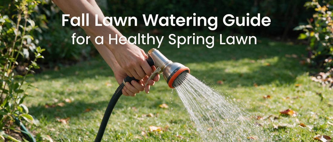 Fall Lawn Watering Guide for a Healthy Spring Lawn